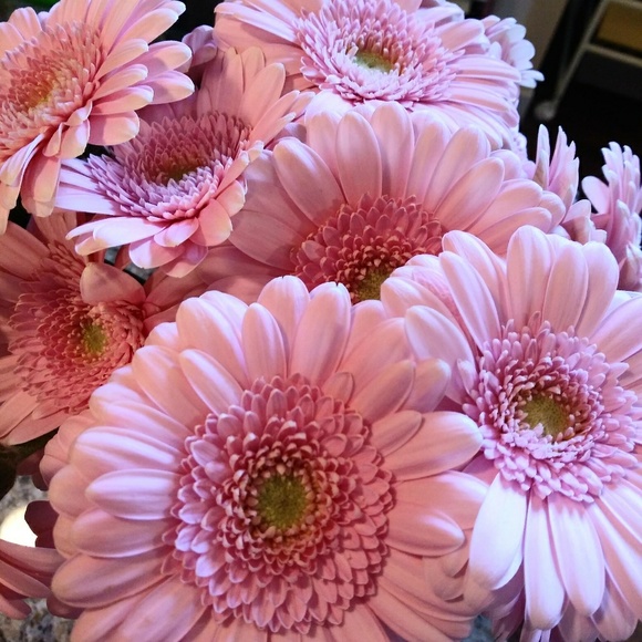 Meet your Posher, Cassandra - Picture 1 of 1